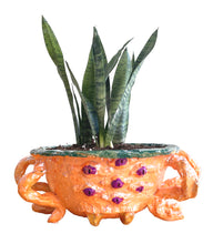 Load image into Gallery viewer, Kramer Hegenbarth, "There's a Spider in My Bowl" Planter