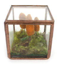 Load image into Gallery viewer, Jill Reedy, "Forest Floor Series" (starting at $45)
