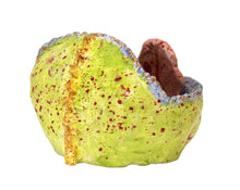 Load image into Gallery viewer, Kramer Hegenbarth, "Say Aah"
