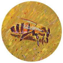 Load image into Gallery viewer, Carl Clark & Mike Harris Jr., Sticker Pack