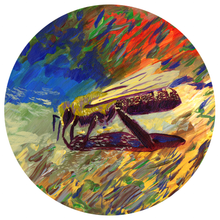 Load image into Gallery viewer, Carl Clark & Mike Harris Jr., Sticker Pack