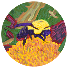 Load image into Gallery viewer, Carl Clark & Mike Harris Jr., Sticker Pack