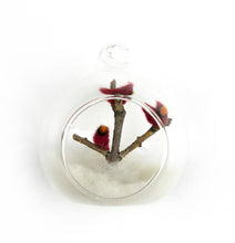 Load image into Gallery viewer, Jill Reedy, Glass Orbs (sets and singles)