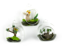 Load image into Gallery viewer, Jill Reedy, Glass Orbs (sets and singles)