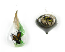 Load image into Gallery viewer, Jill Reedy, Glass Orbs (sets and singles)
