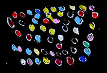 Load image into Gallery viewer, Artist Postcards