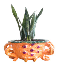 Load image into Gallery viewer, Kramer Hegenbarth, &quot;There&#39;s a Spider in My Bowl&quot; Planter