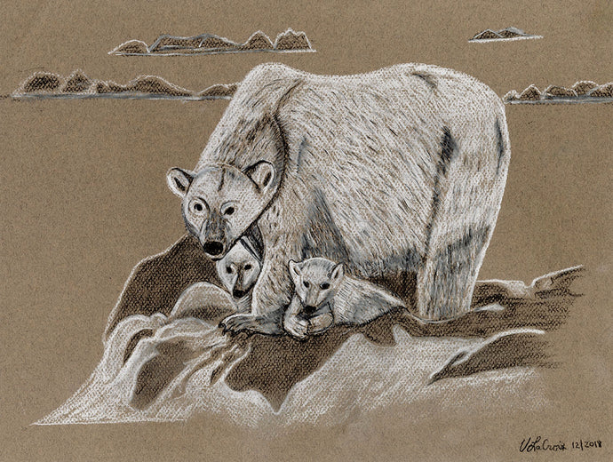 Victoria LaCroix, Untitled (Polar Bears)