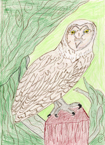Daniel Metchnek, "Owl"