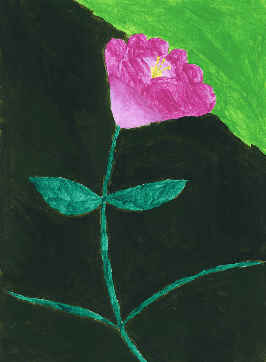 Devin Wildes, Untitled (Flower)