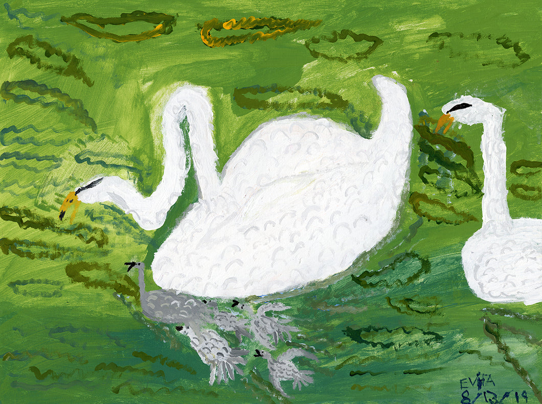 Evita Newman, Untitled (Swans)