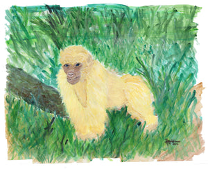 Ingrid Hansen, "Albino Gorilla"