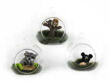 Load image into Gallery viewer, Jill Reedy, Glass Orbs (sets and singles)