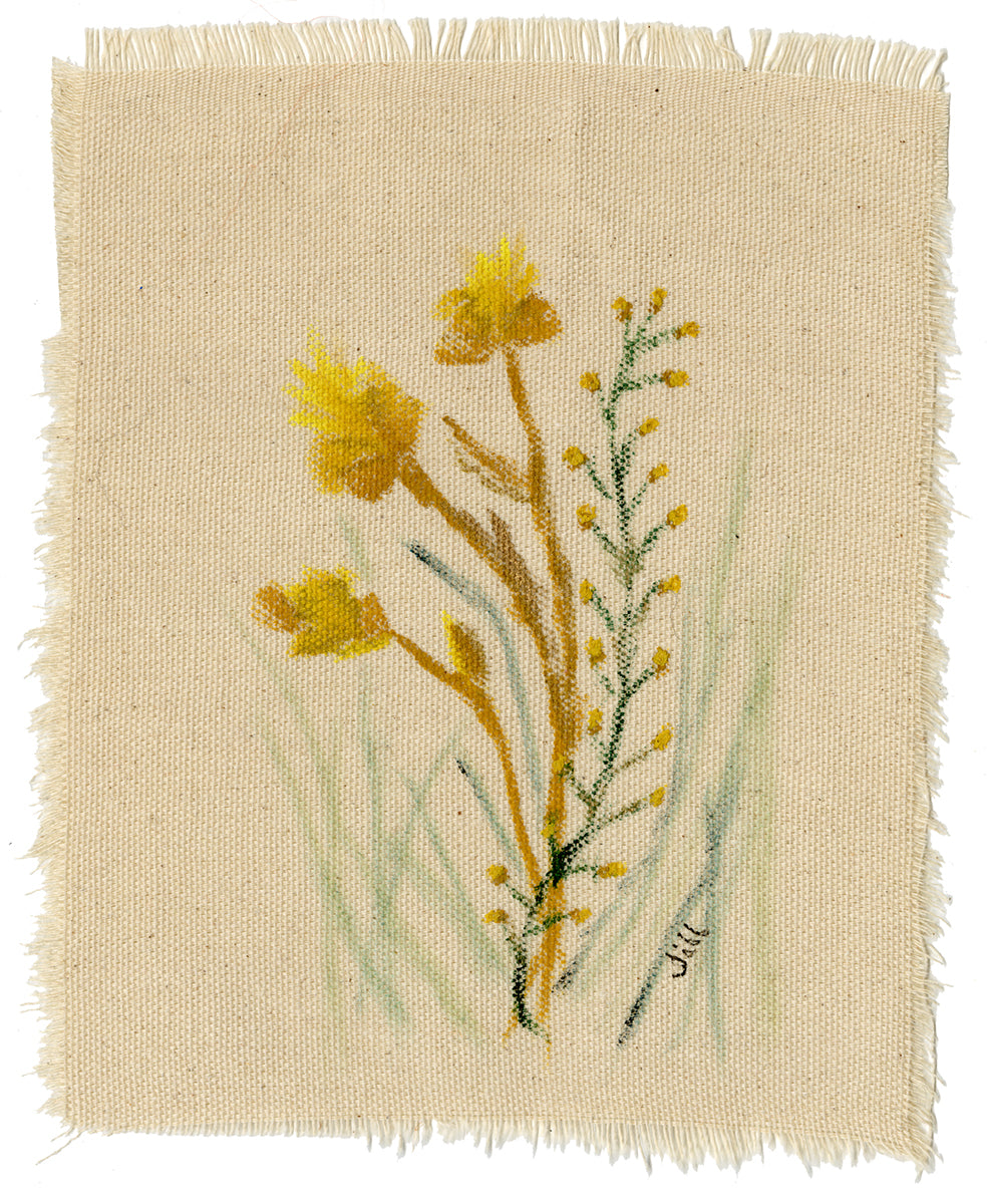 Jill Reedy, Untitled