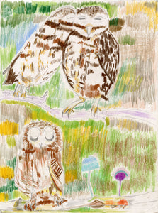 Laurie M., Untitled (Owls)
