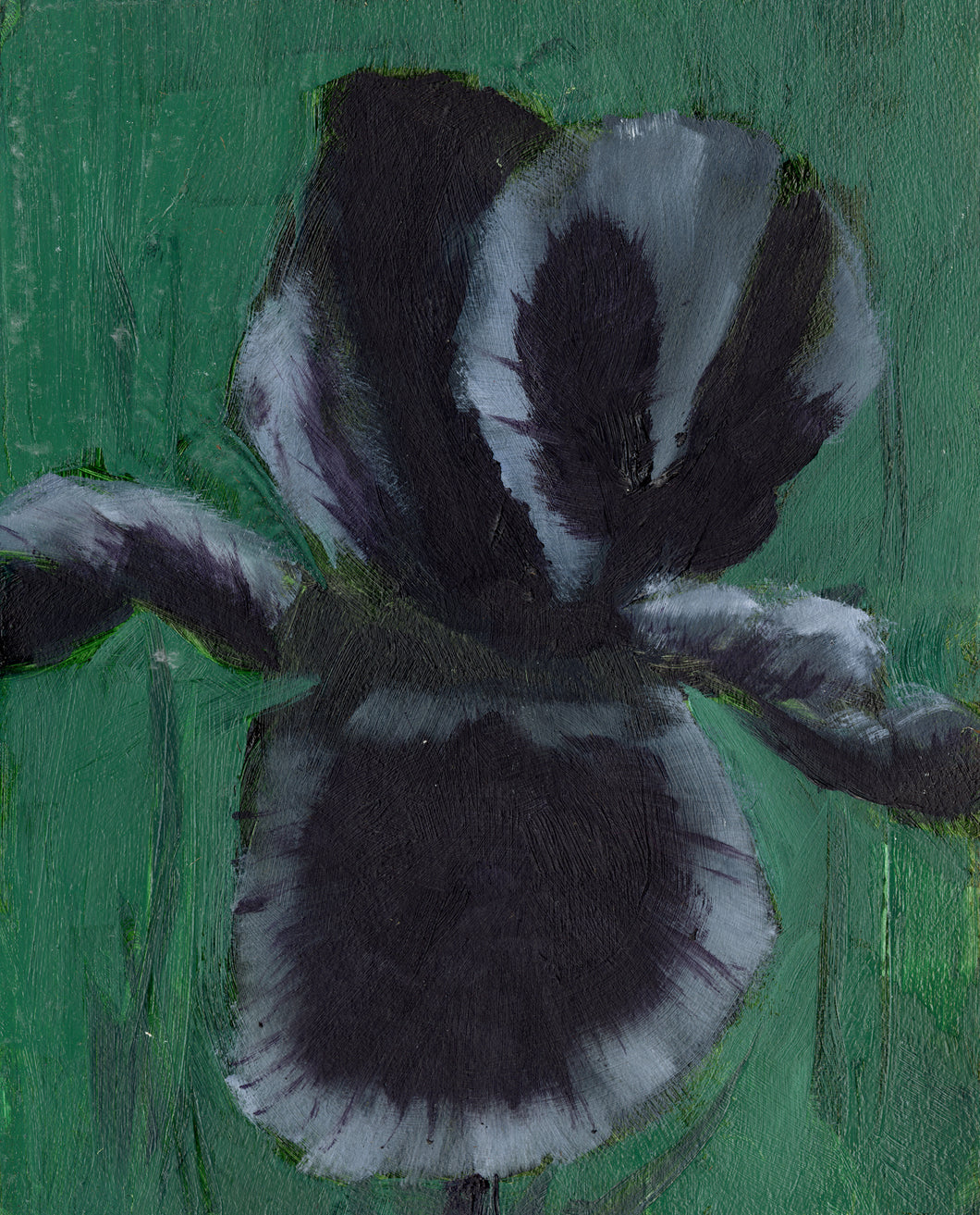Cyrus M., Untitled (black iris)